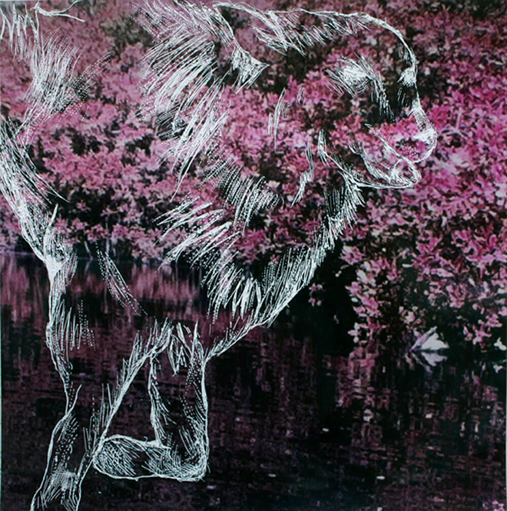 Animals, sgrafitto on digital print, 50 x 50cm., 2012.