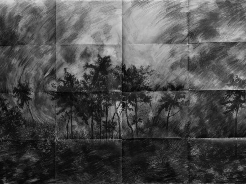 Tsunamis, graphite on vellum paper, 59 x 90 cm., 2013.