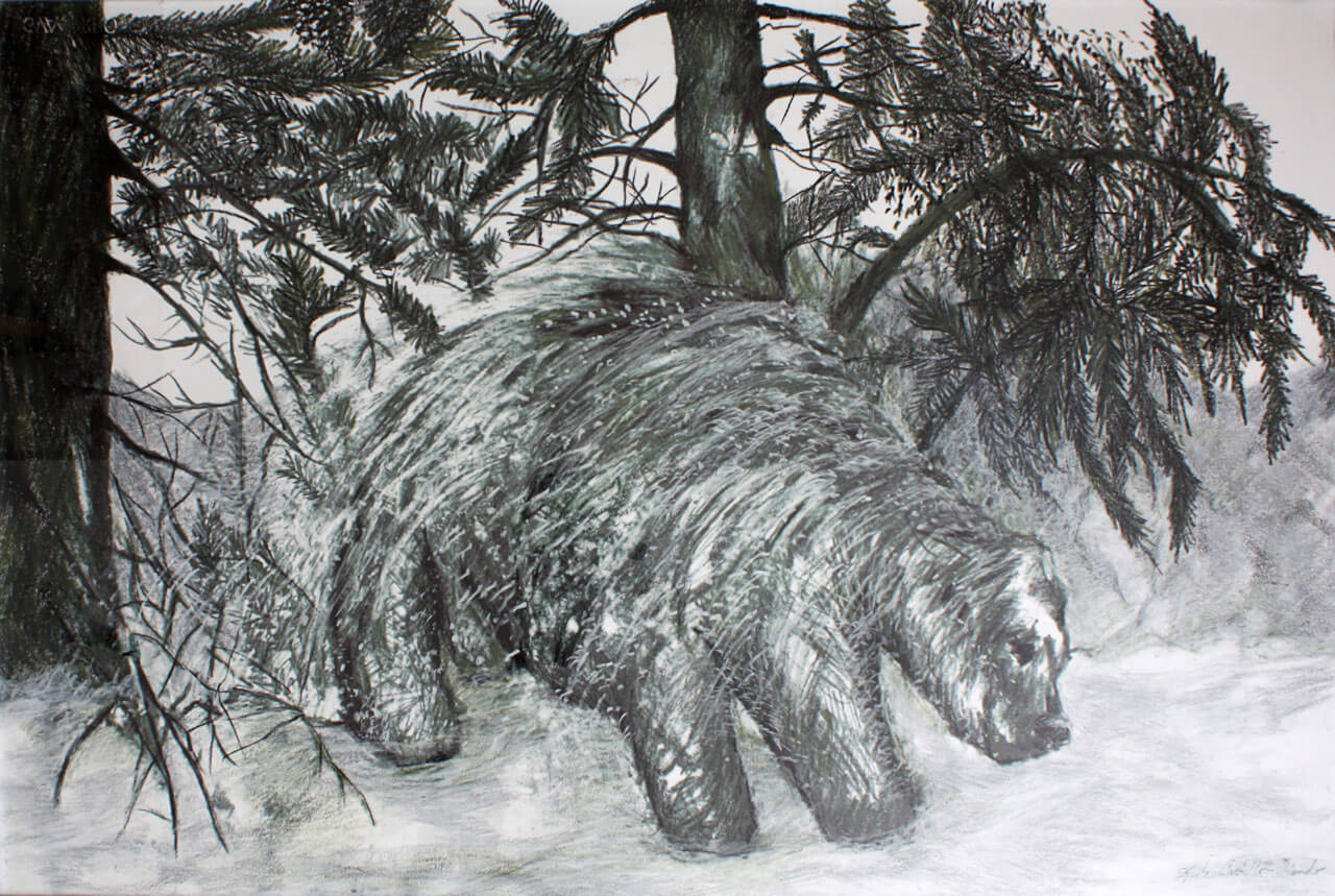 Animals, graphite, oil pastel on cotton paper, 74 x 100 cm., 2006.