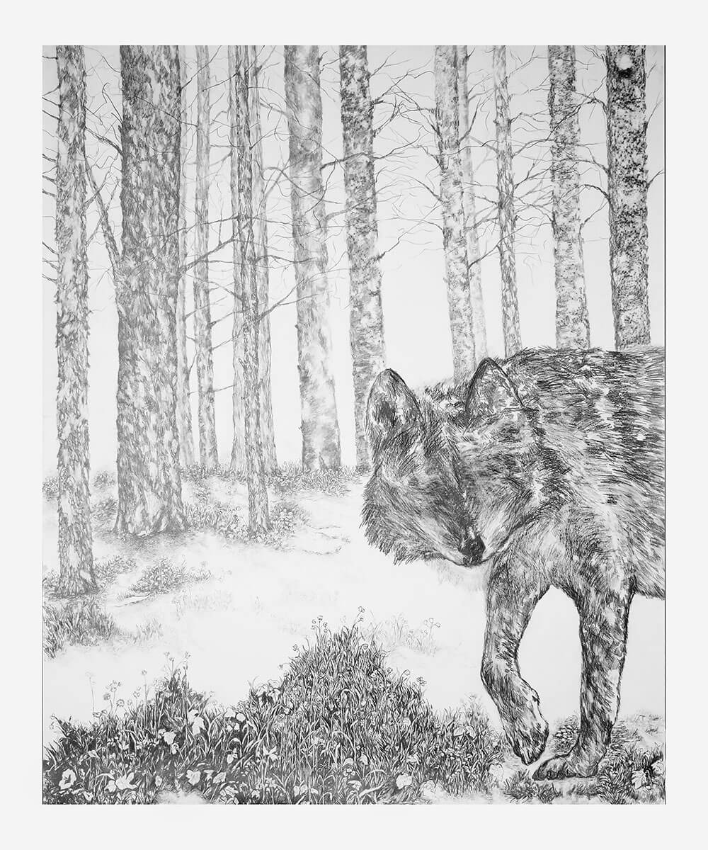 Animals, graphite on cotton paper, 115 x 143 cm., 2015-2018.