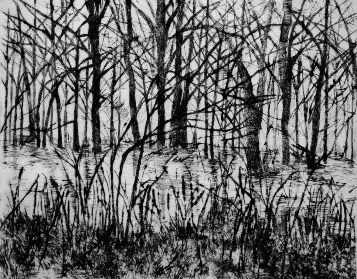 Landscapes, drypoint on copper plate, 25 x 19.5 cm., 2016.