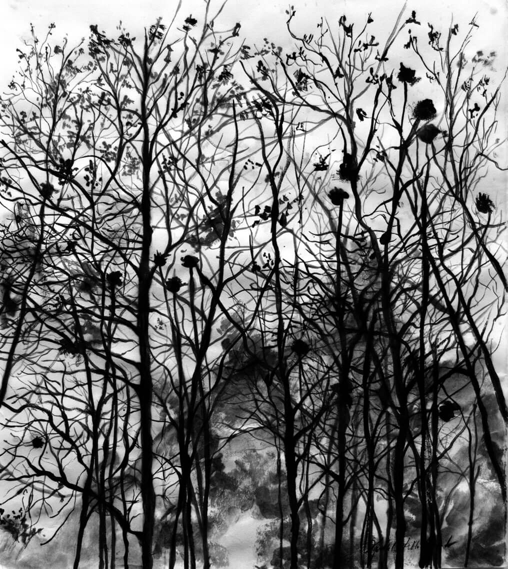 Landscapes, ink on cotton paper, 54.5 x 49.5 cm., 2017.