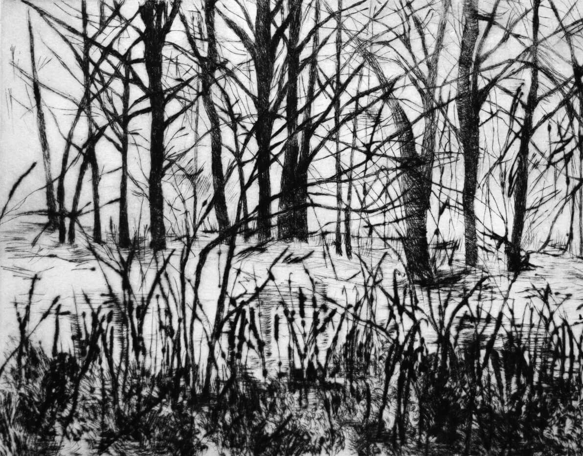 Landscapes, drypoint on copper plate, 25 x 19.5 cm., 2016.