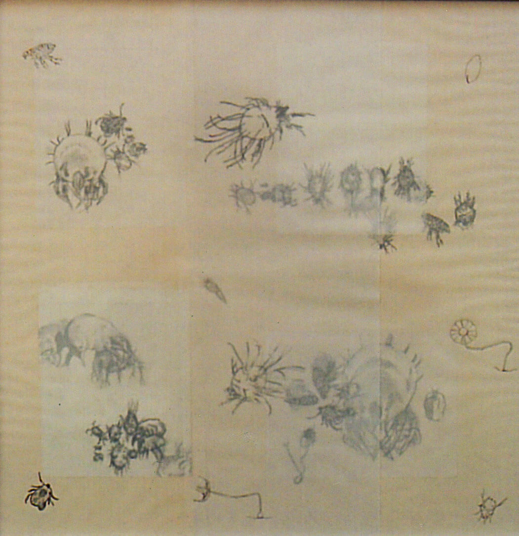 Lilliput, graphite on vellum paper, 54 x 55 cm., 2006.